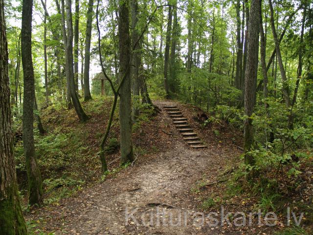 Elka kalns (Rata kakts, Rata kalns, Taurētāju kalniņš). Foto J. Urtāns